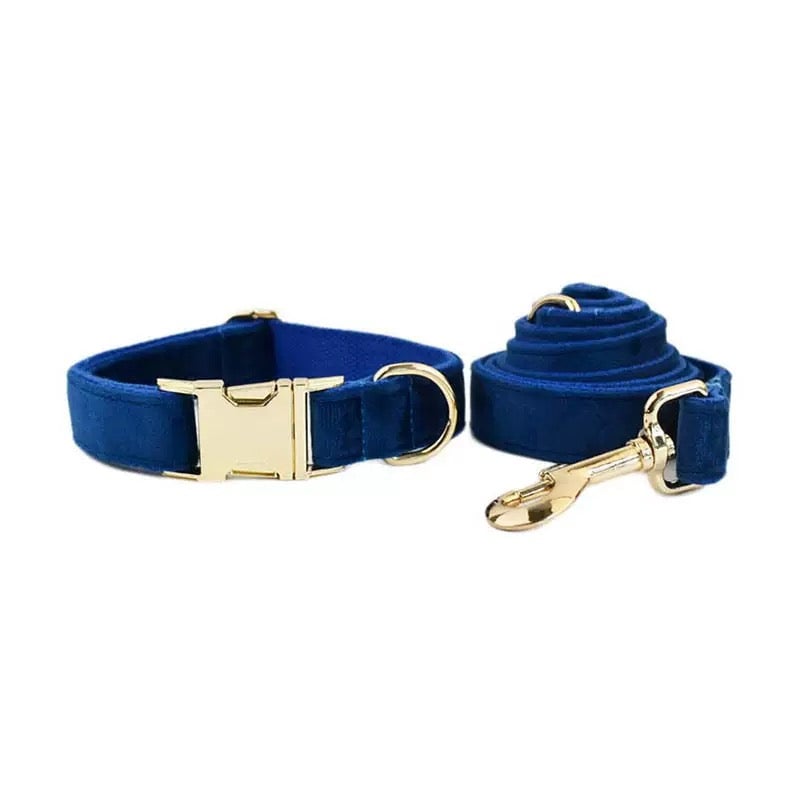 Velvet Personalized Dog Harness Collar Leash