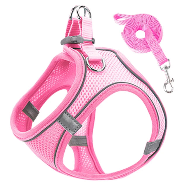 Peitoral de passeio para gatos e cachorros