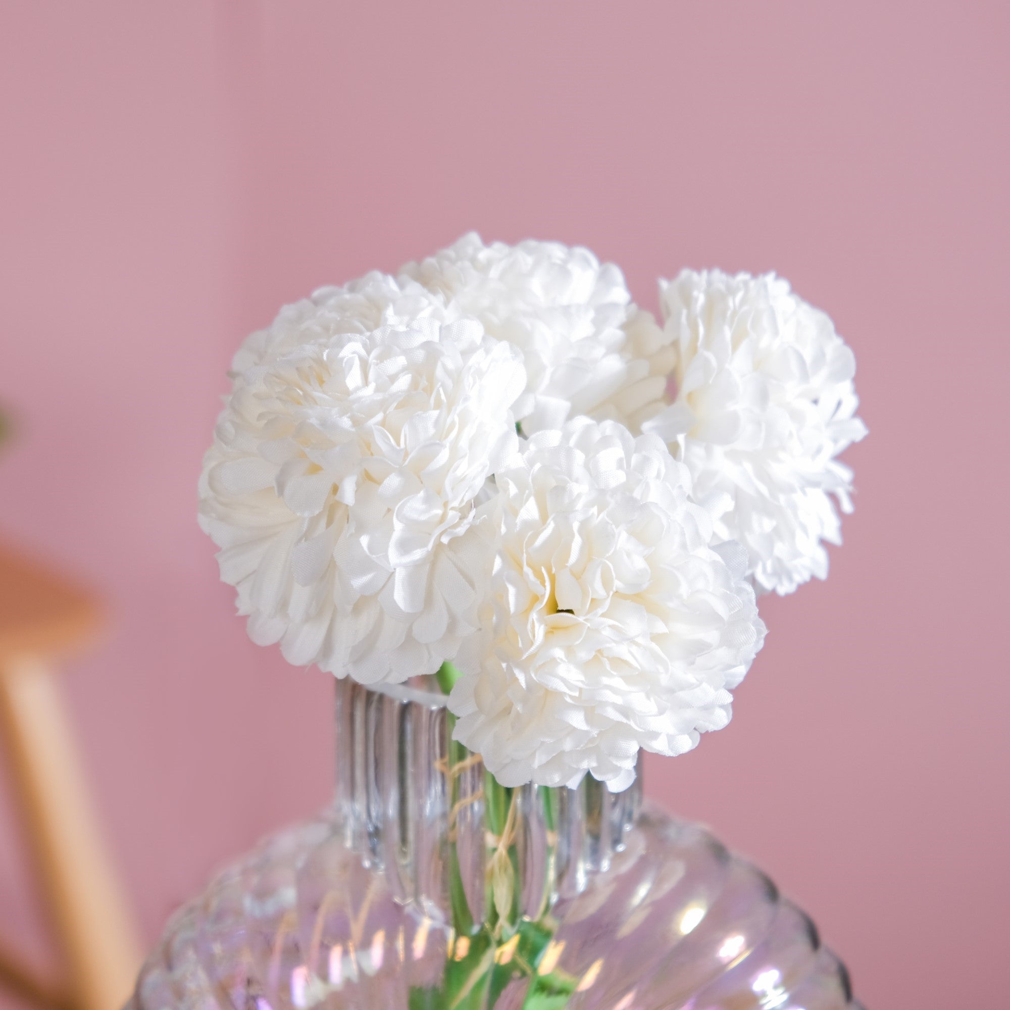 Chrysanthemum White