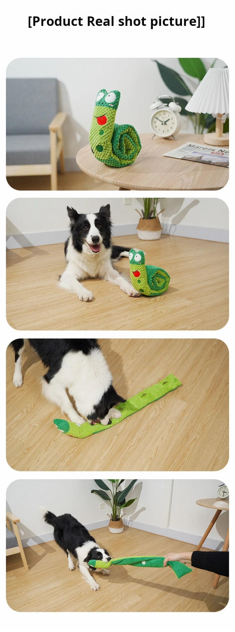 Indestructible Snail Dog Puzzle Feeder - Interactive & Squeaky Pet Toy