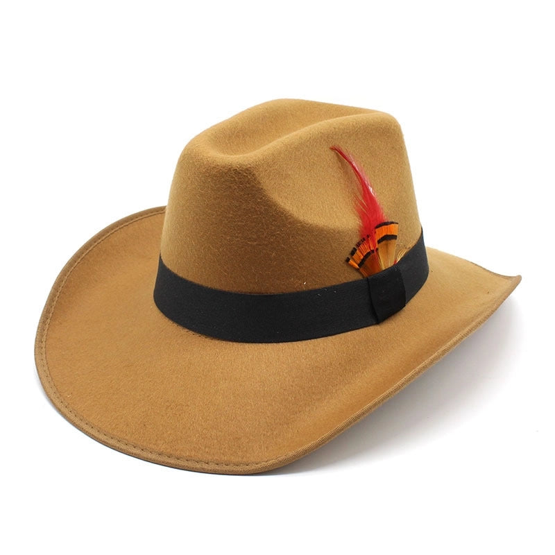 New Feather Hat Autumn And Winter Big Brim Hat Fashion Men's And Women's Cashmere Felt Hat Style Hat
