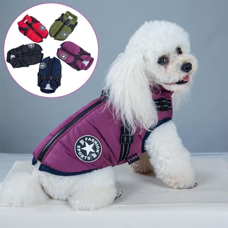 🔥  Promotion 47% OFF - Waterproof Winter Dog Jacket with Built-in Harness