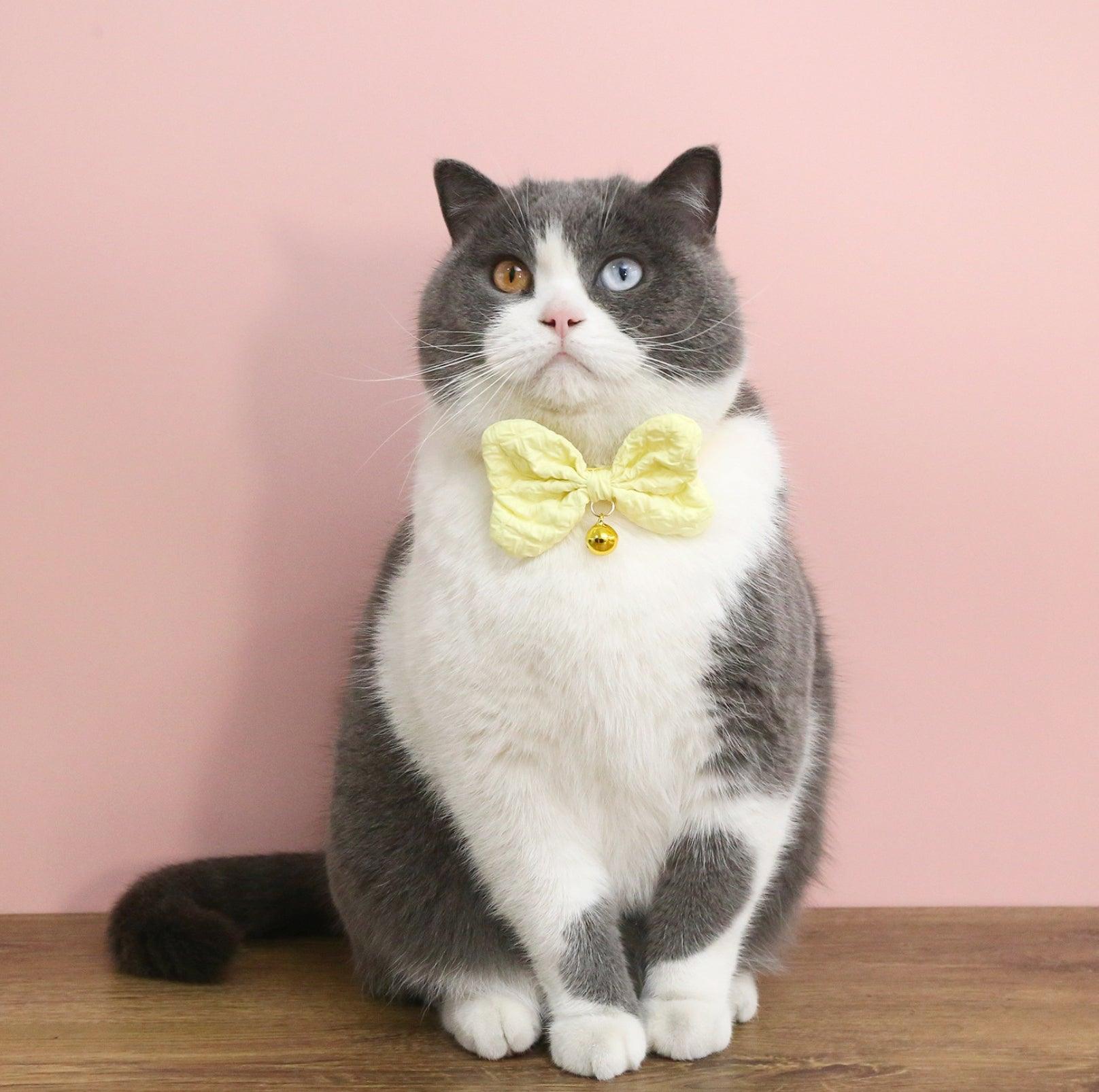 Candy-Colored Denim Bowtie Adjustable Pet Collar