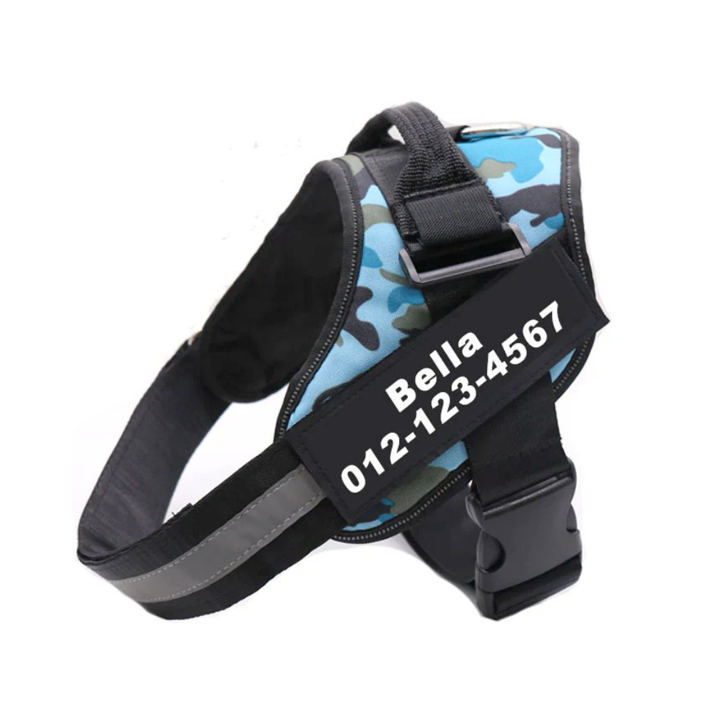 Personalized No Pull Harness