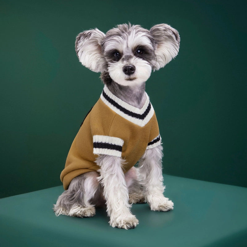 Autumn And Winter New Knitted Vest Pet Clothes V-neck College Style Vest Teddy Bomei Fashion Dog Clothes