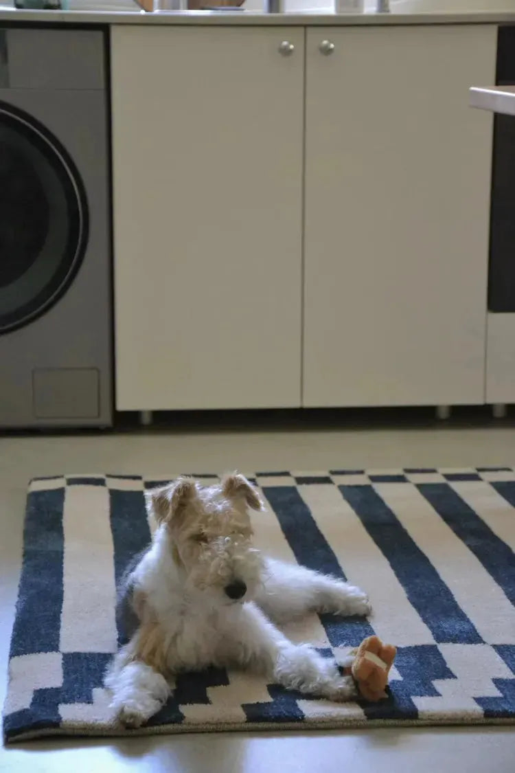 Karl Blue Striped Carpet