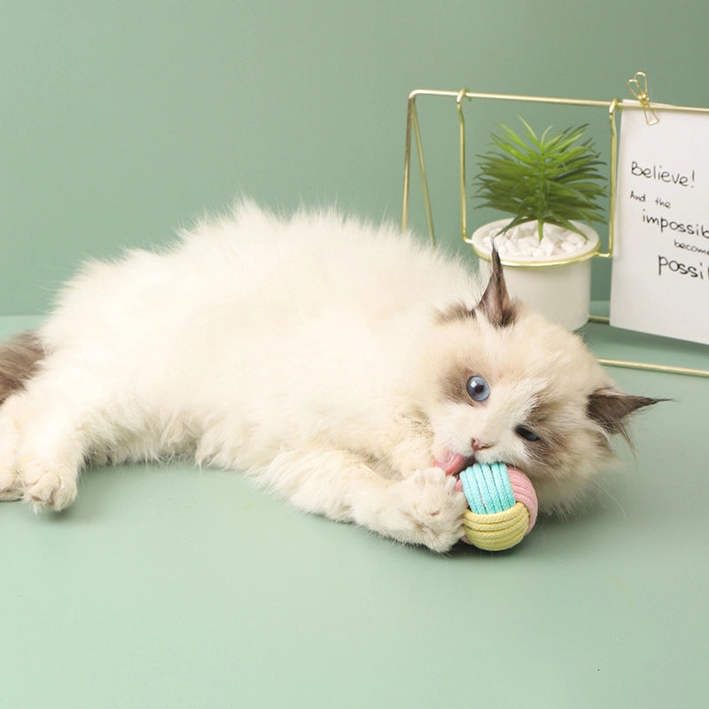 Creative Funny Cat Fur Ball Handmade Cat Cotton Ball Plush Relieving Stuffy Self-Hi Training Pet Molar Interactive Toy