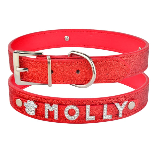 Personalized Dog Collar with Name