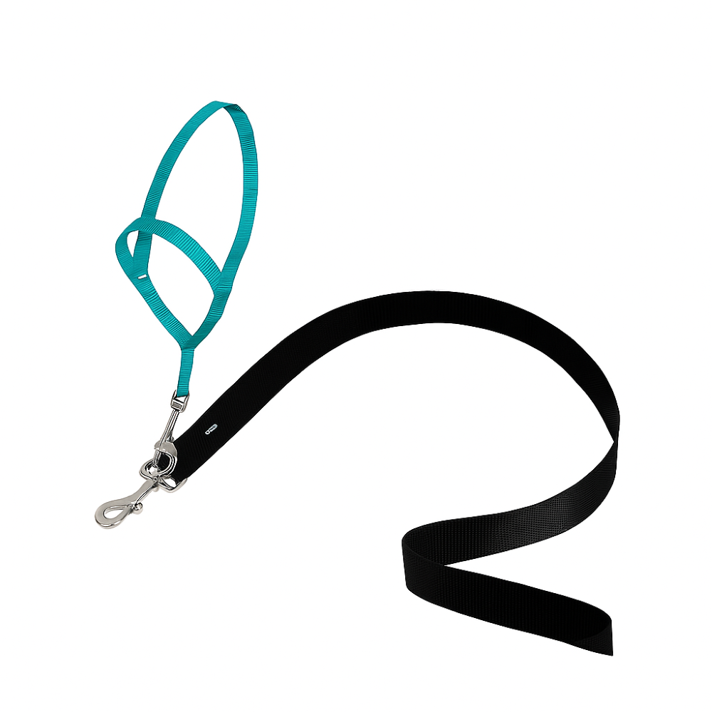 Adjustable No Pull Dog collar
