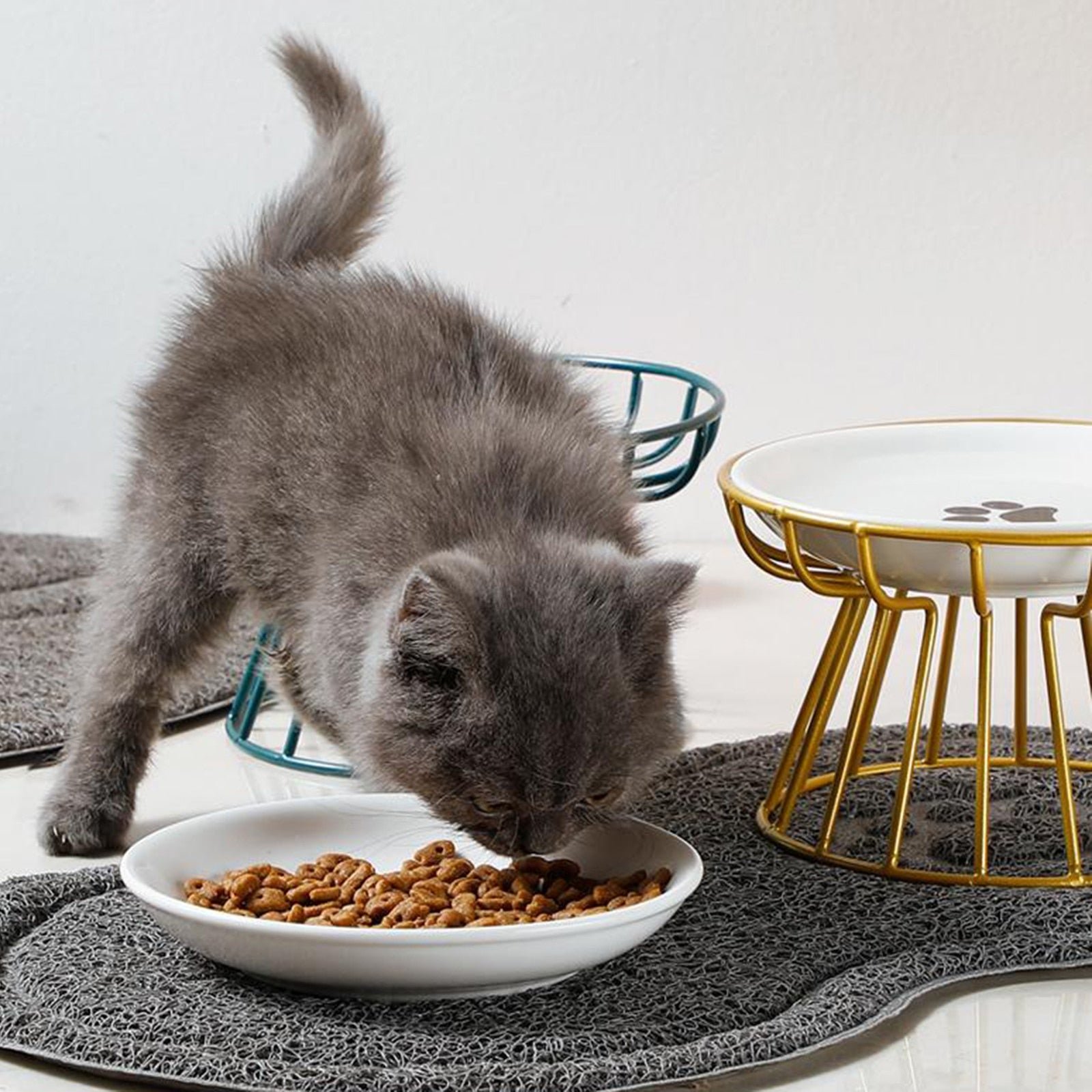 🥣Whisker-Friendly Anti-Vomit Cat Plate📦Buy 2 FREE SHIPPING