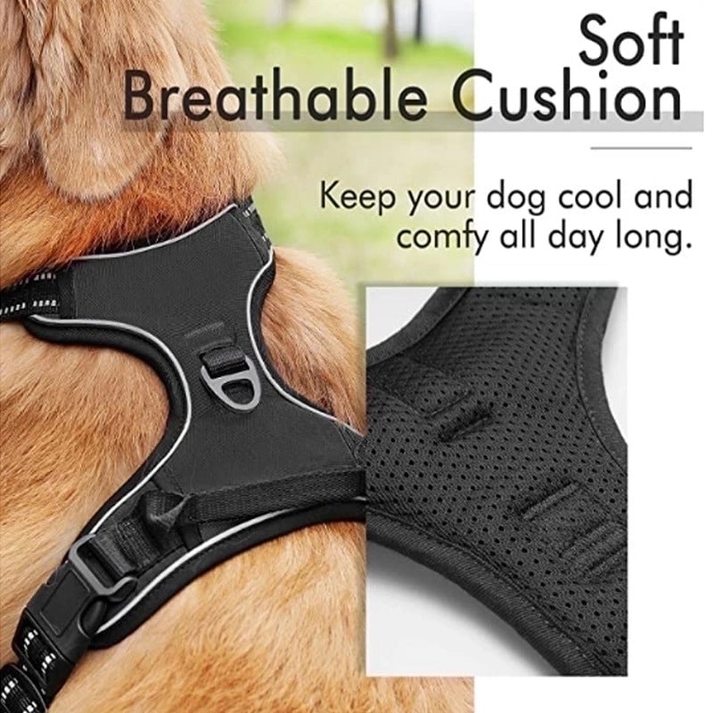 Minimalist Nylon Color Block Leash