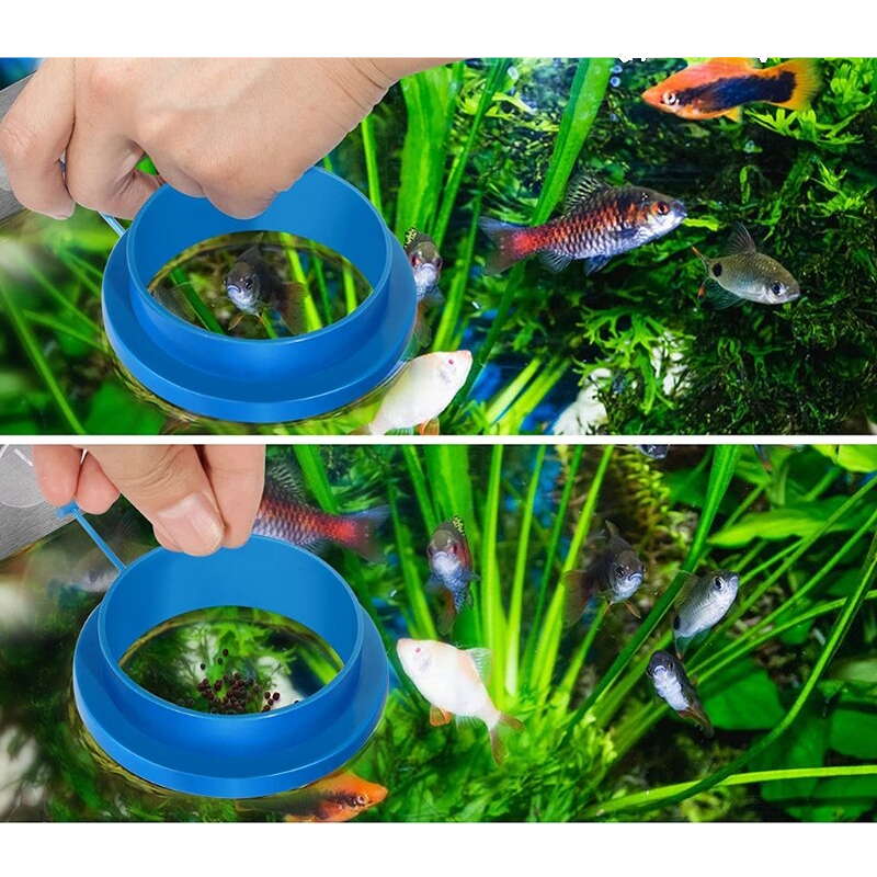 Round Square Aquarium Feeding Ring