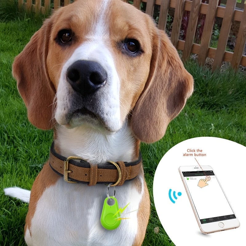 🔥LAST DAY 49% OFF--Bluetooth and GPS Pet Wireless Tracker🔥