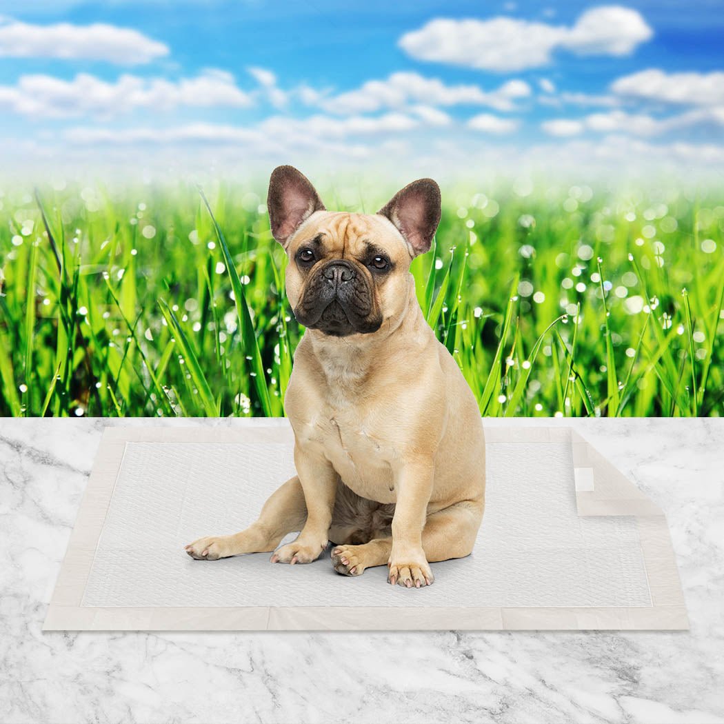 200 X Pet Training Puppy Pads - Meadow Scent