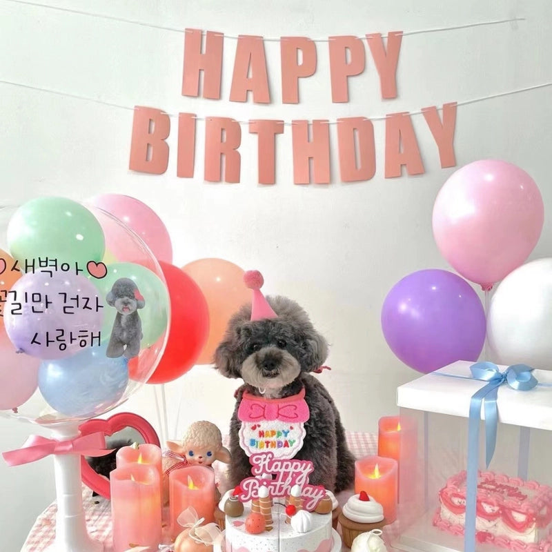 Dog Dog Party Birthday Hat Bib Dog Cat Pet Slippery Bag Slippery Towel Bichon Pet