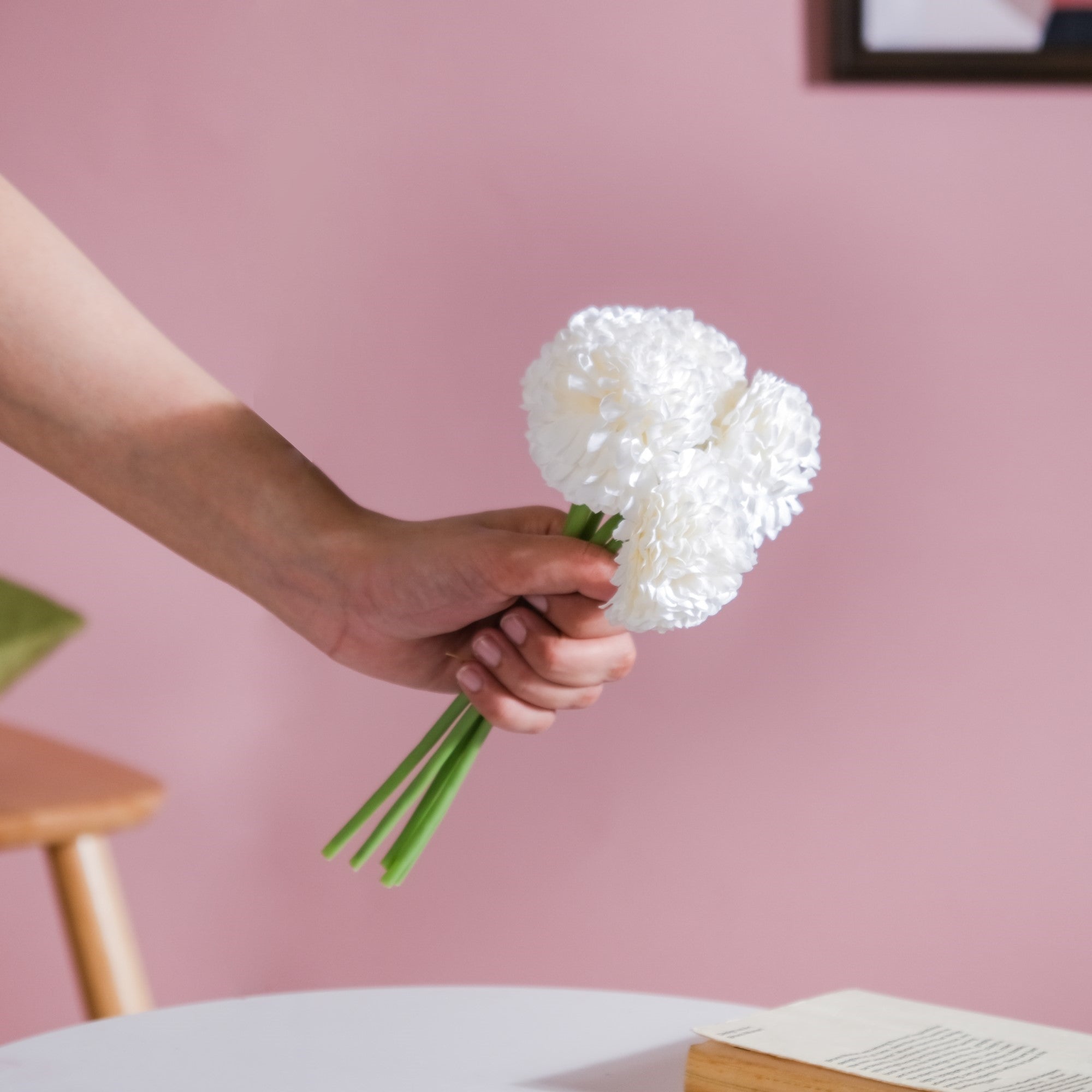 Chrysanthemum White