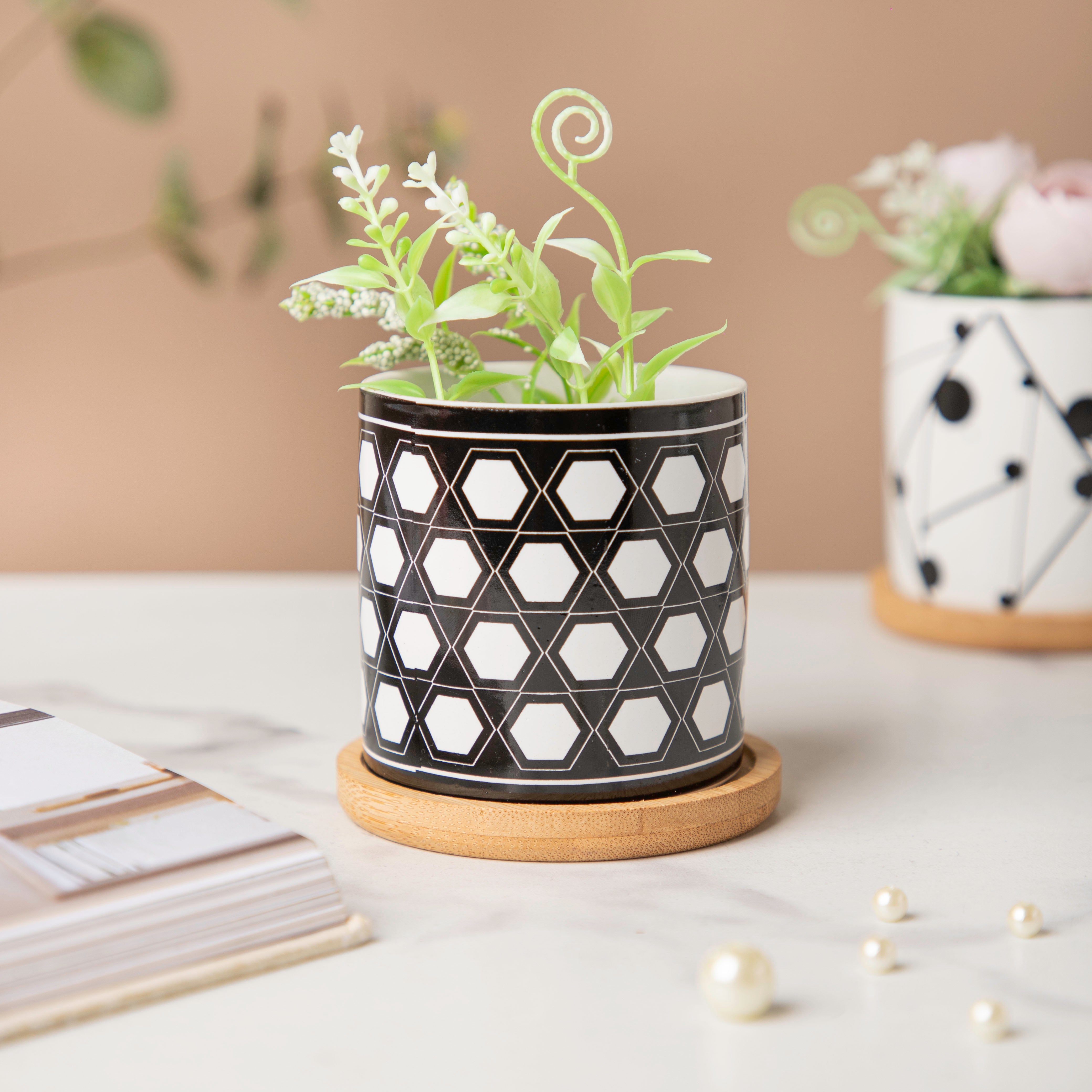 Twyla Hive Black White Planter With Wooden Coaster
