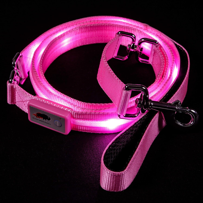 Pet Leash With USB Lighting