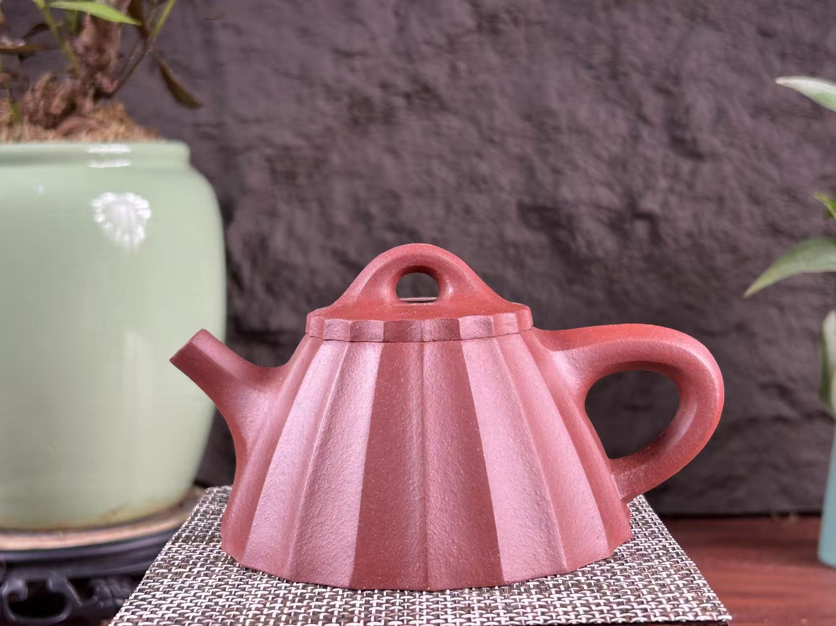 20250727-55-筋纹石瓢