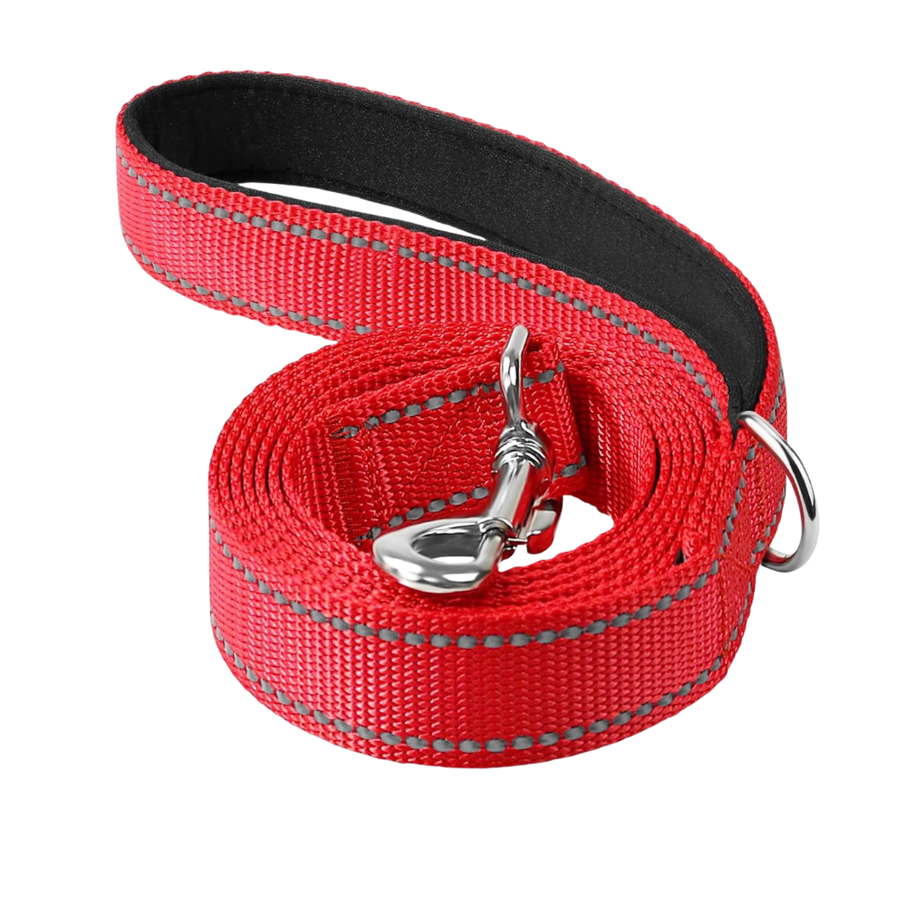 Double Sided Reflective Dog Leash