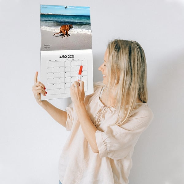 Funny Calendar Gift - Dog Poop Calendar