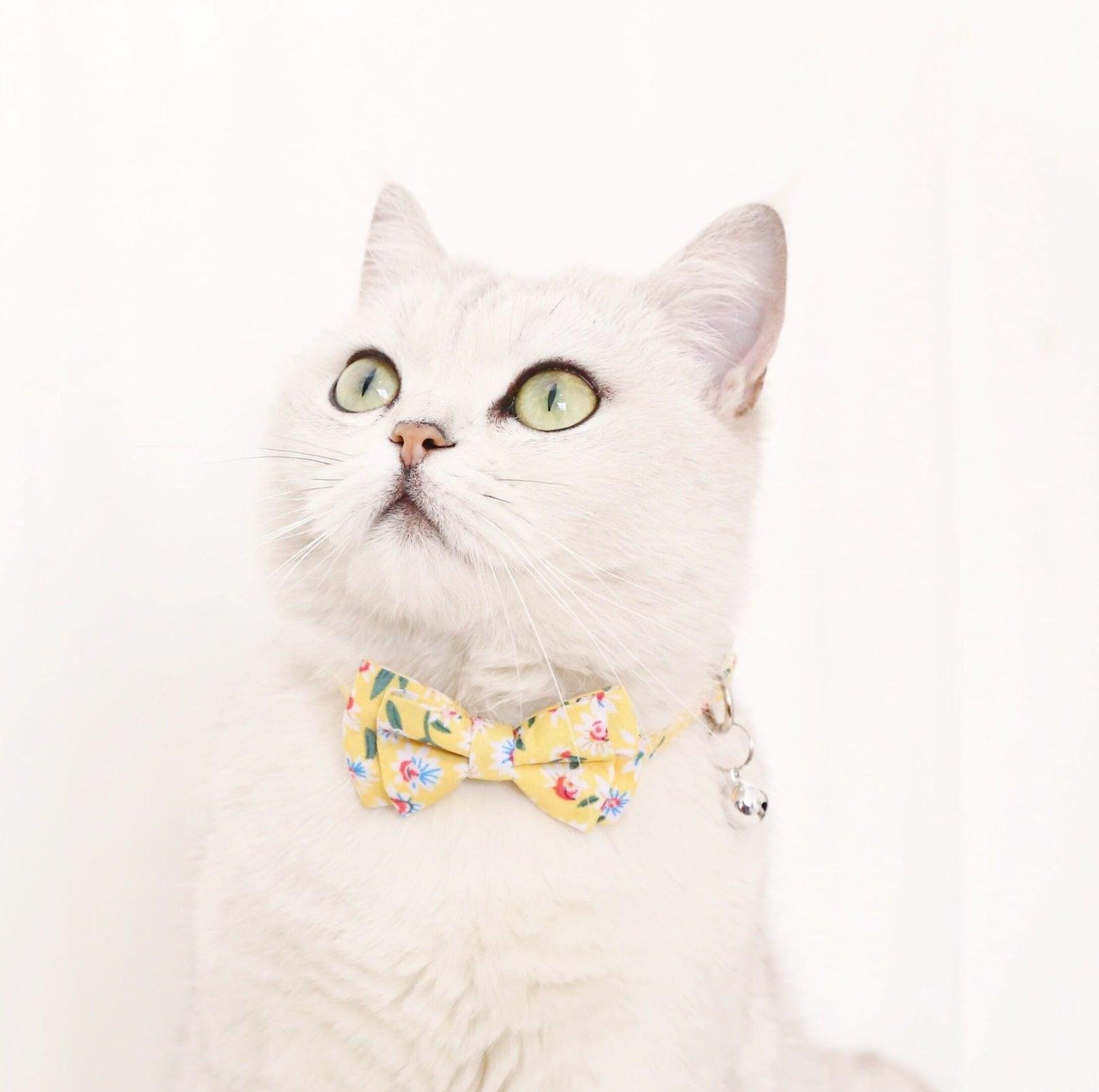 Adjustable Floral Bowtie Collar with Bell