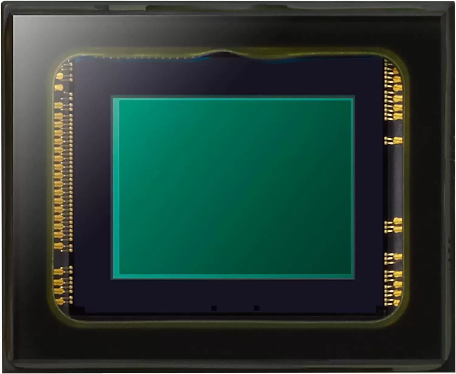 FZ300 Long Zoom Digital Camera Features 12.1 Megapixel, 1/2.3-Inch Sensor, 4K Video, WiFi, Splash & Dustproof Camera Body, LEICA DC 24X F2.8 Zoom Lens - DMC-FZ300K