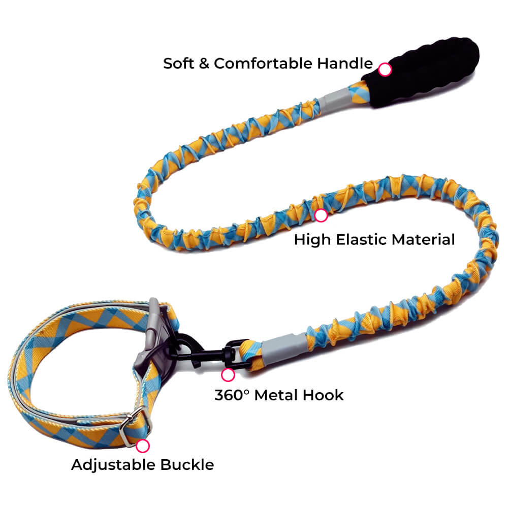 Colorful High Elasticity Traction Rope Large Dog Leash And Collar