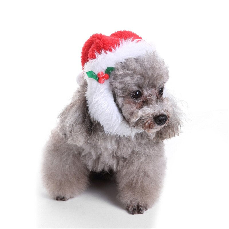 Big Beard Christmas Dog Hat
