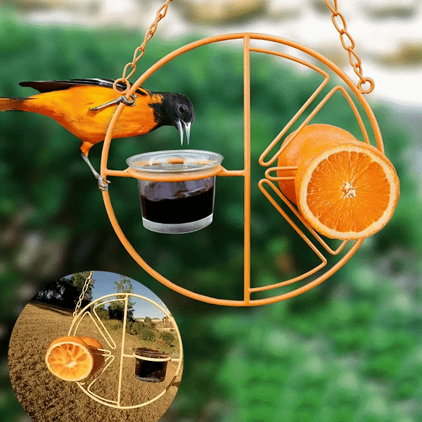 hanging hummingbird oriole feeder