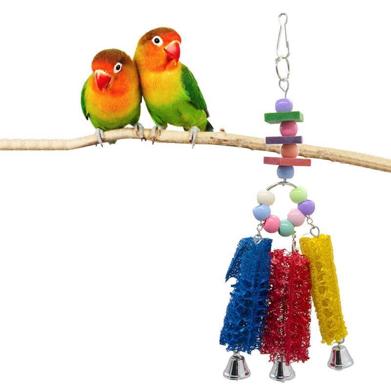 Loofah Sponge Hanging Bell Bird Toy