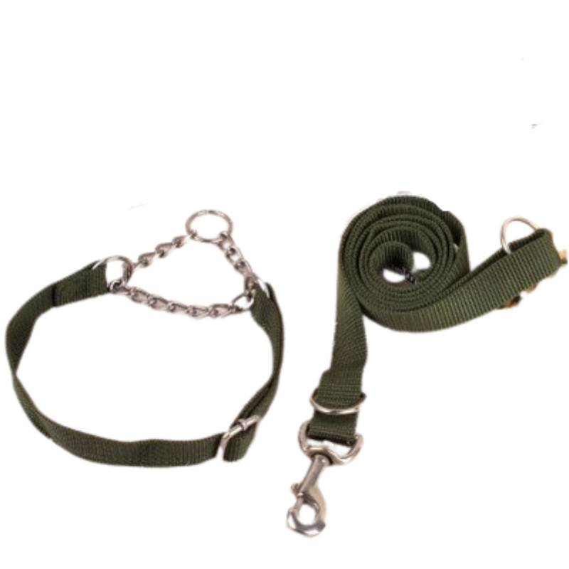 Pet Dog Collar Leash Set