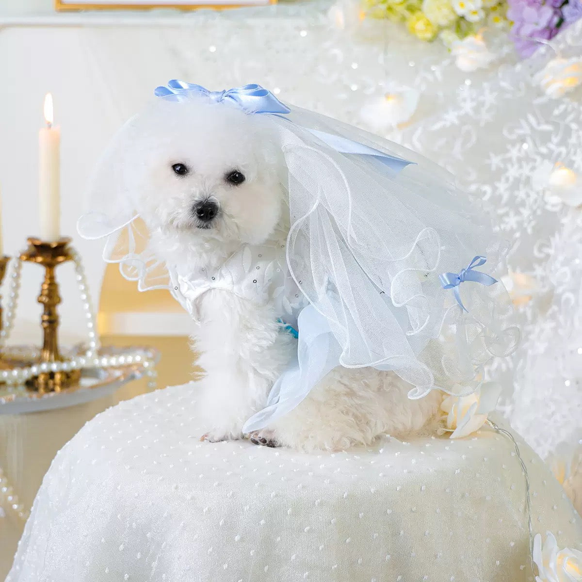 Bow/Mermaid/Ear Pattern Dog Cat Veil