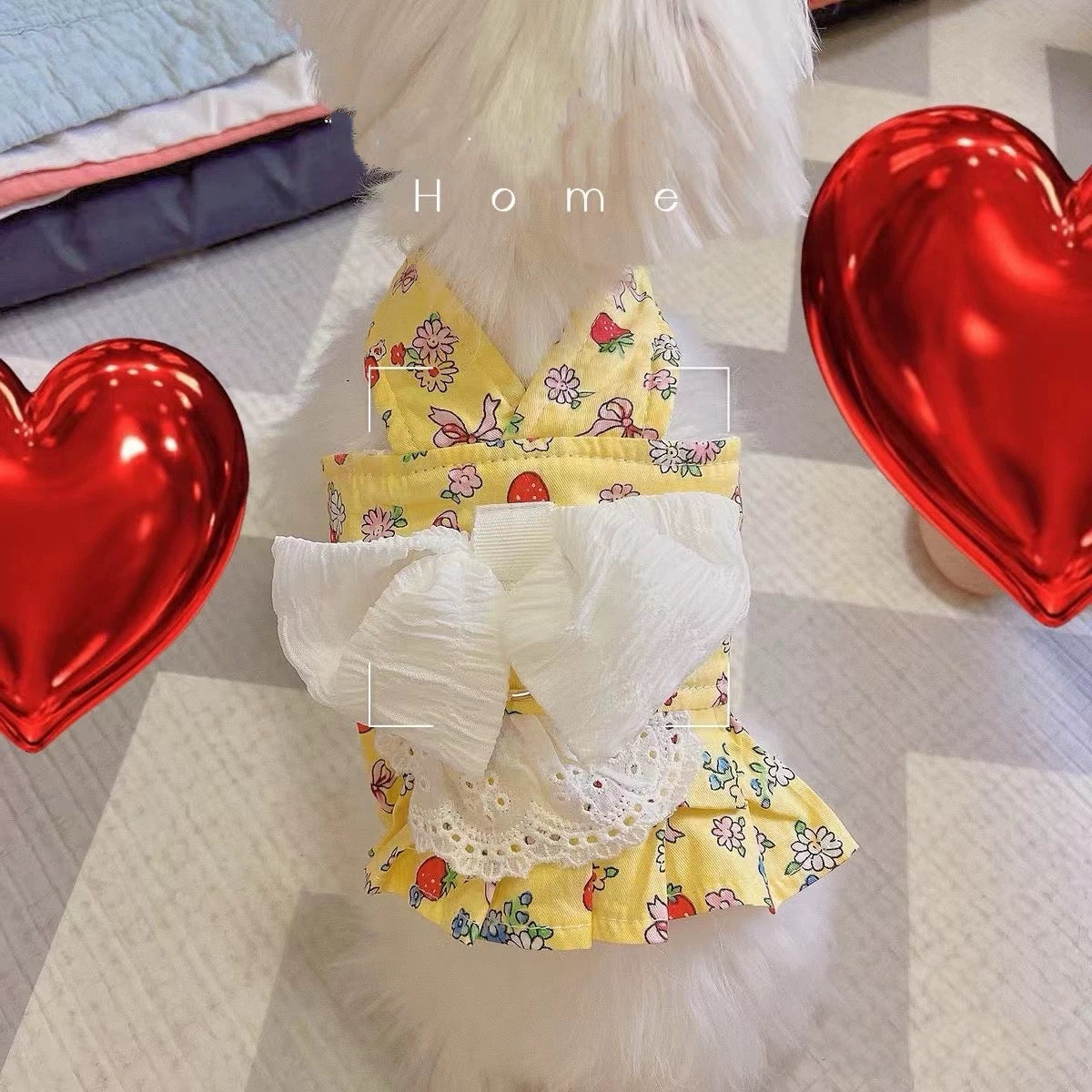Fruit Printed Lace Bow Dog Harness&Leash