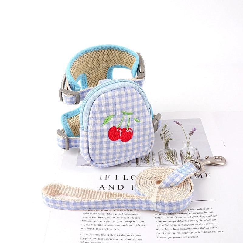 Minimalist Classic Style Polyester Color Block Leash