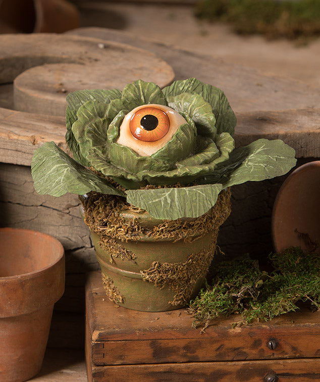 Eerie Eyeball Lettuce