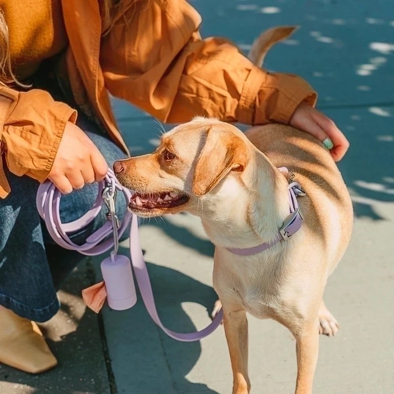 Minimalist Classic Style Pvc Polyester Solid Color Leash