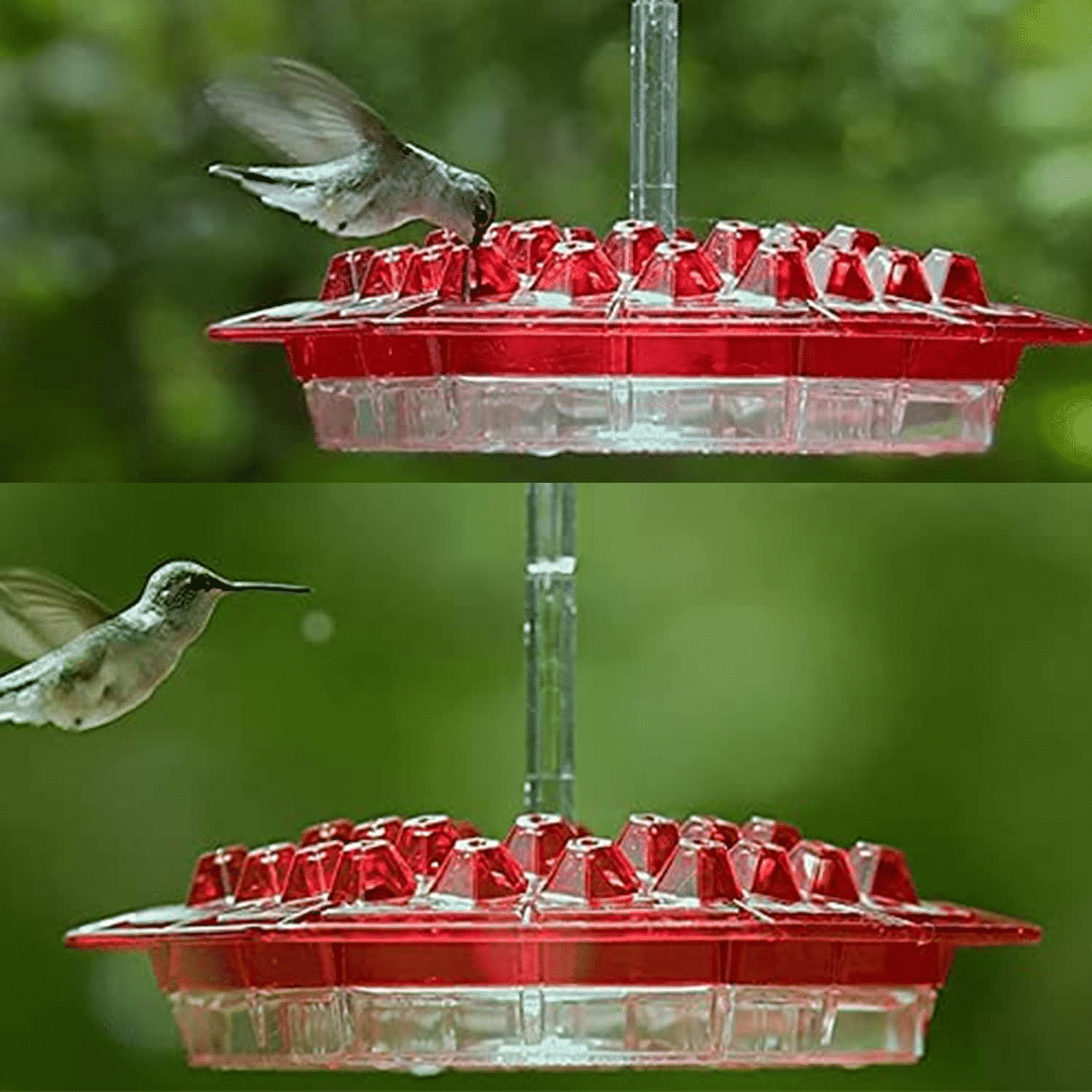 🎉   Promotion-49% OFF 🎉 Sweety Hummingbird Feeder