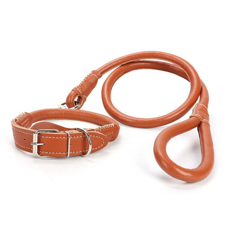 Leather Dog Collar And Leash Set