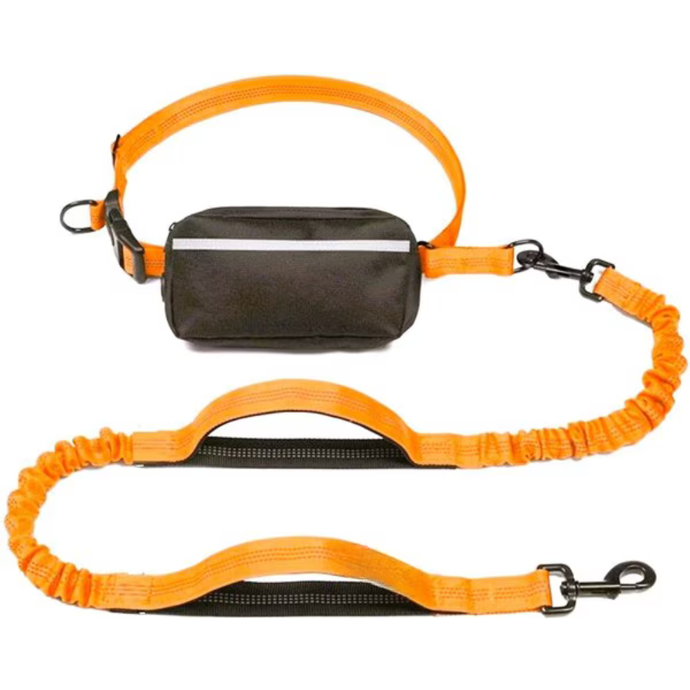 Reflective Bungees Running Dog Leash