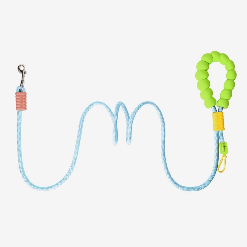 Minimalist Nylon Color Block Leash