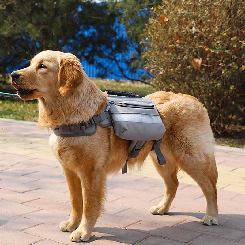 Large Dogs Tactical Dog Harness Self-Pack