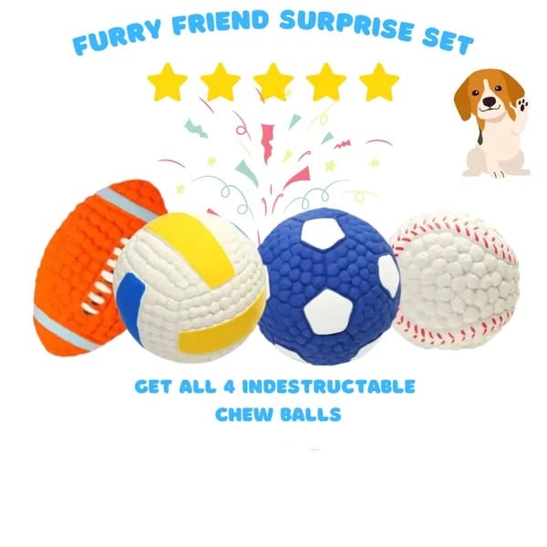 The IndestructiBall™ Dog Chew Toy