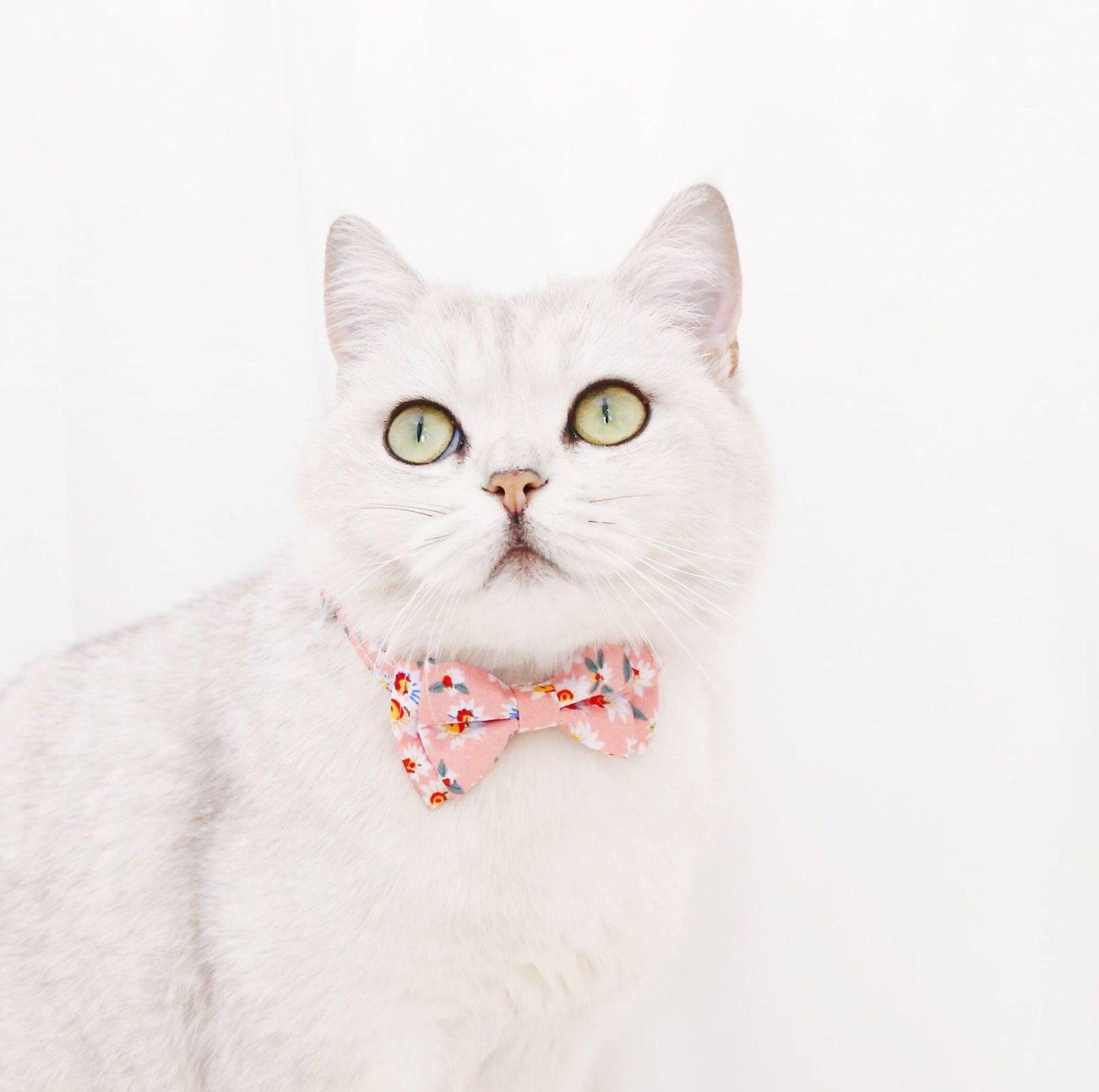 Adjustable Floral Bowtie Collar with Bell