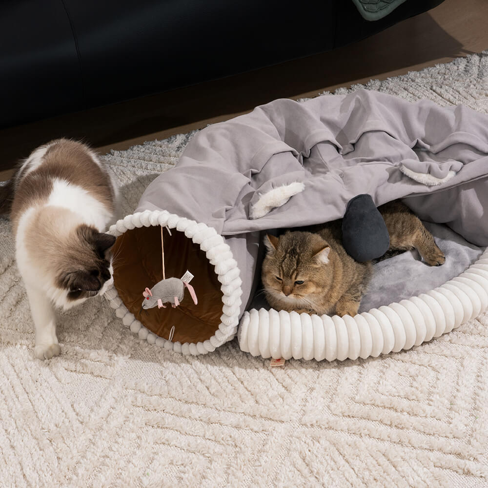 Koalaing 2 in 1 Foldable Indoor Soft Cat Tunnel Bed