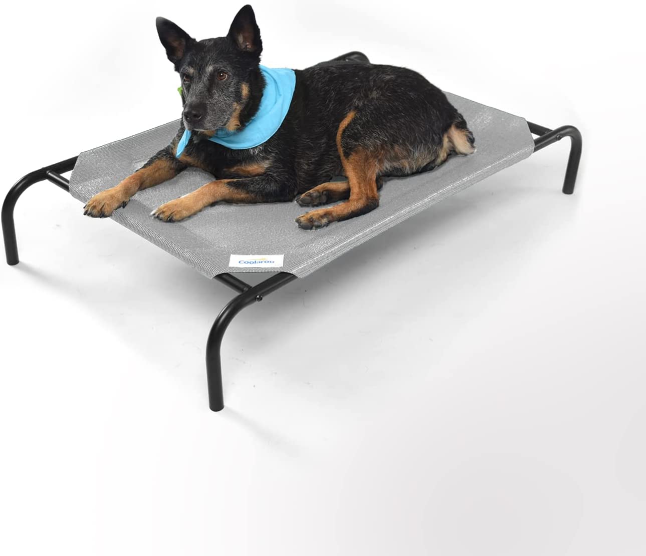 Cooling Elevated Portable Dog Bed | Raised Dog cot