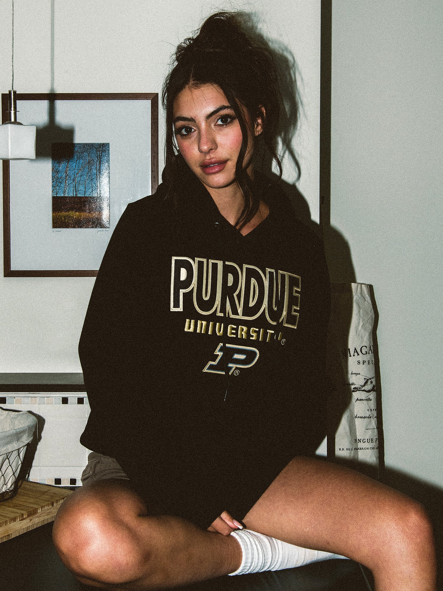 RUSSELL PURDUE PULLOVER HOODIE