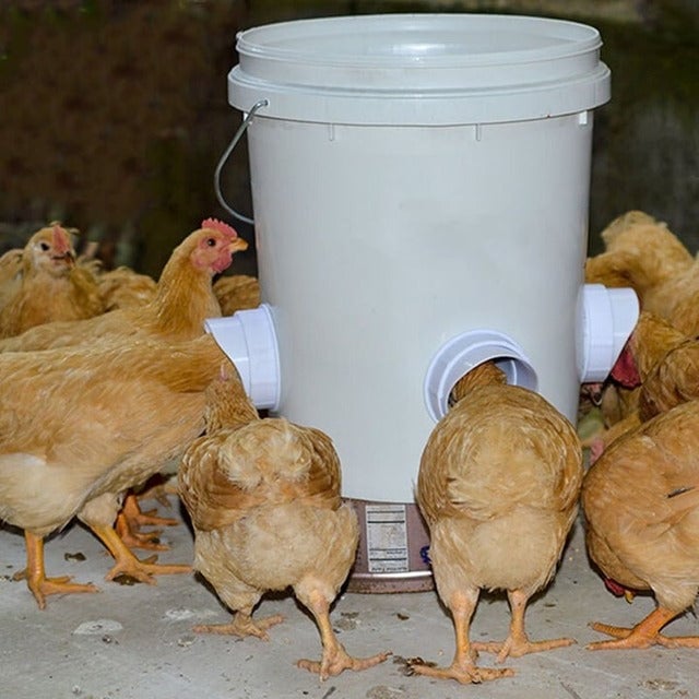 (🔥2024 New Year Hot Sale  30% OFF) DIY Chicken Feeder