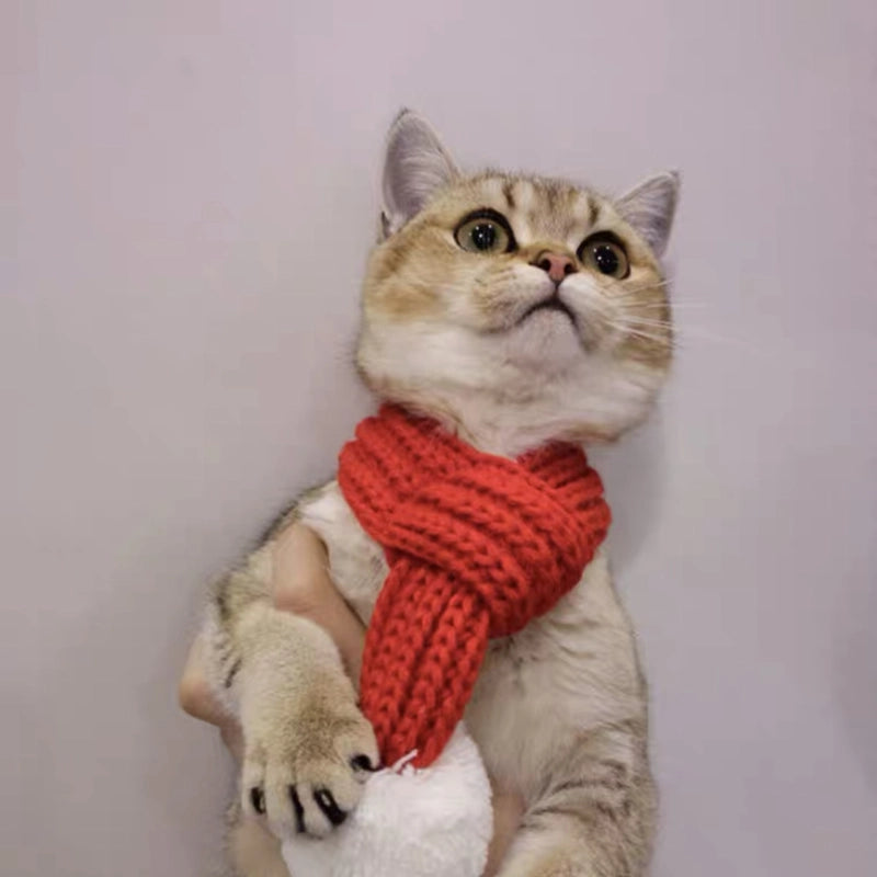 Fashion Yarn Christmas Color Block Pet Scarf
