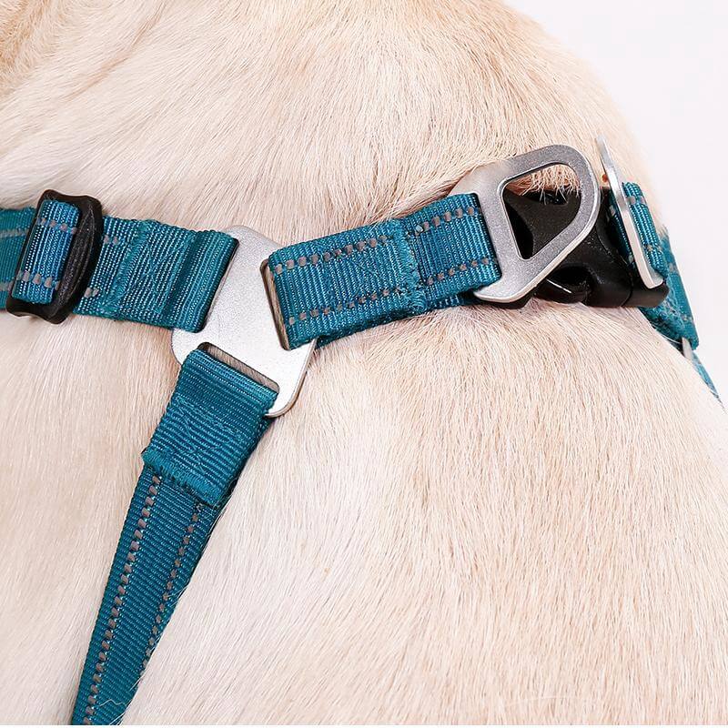 Adjustable Anti-Pull Breathable Dog Harness with Hands-Free Leash